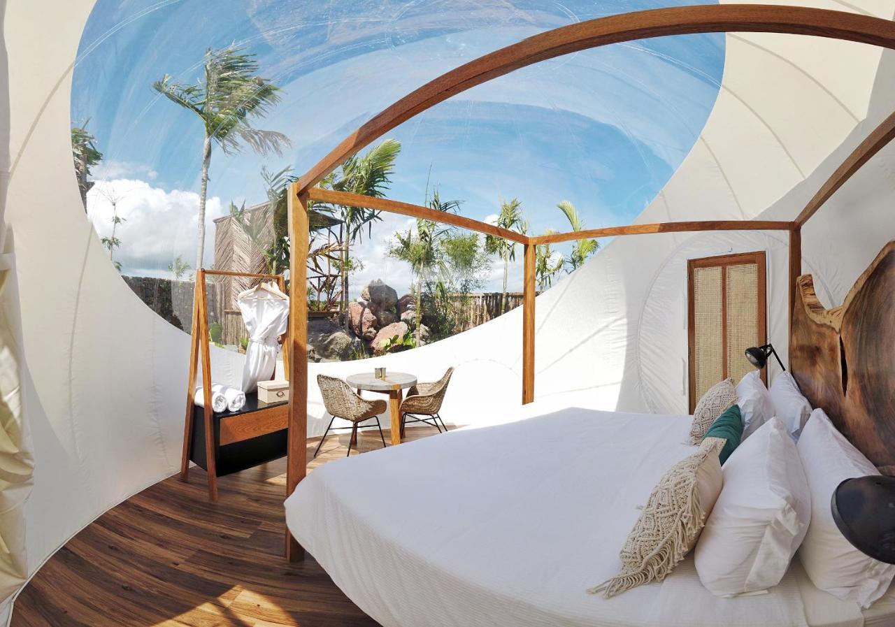 Green Land Bubble Glamping By Mint Cabarete Exteriér fotografie